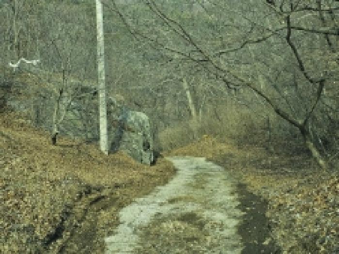 2025타경350 법원경매 사진21 | 전남 순천시 임야 경매