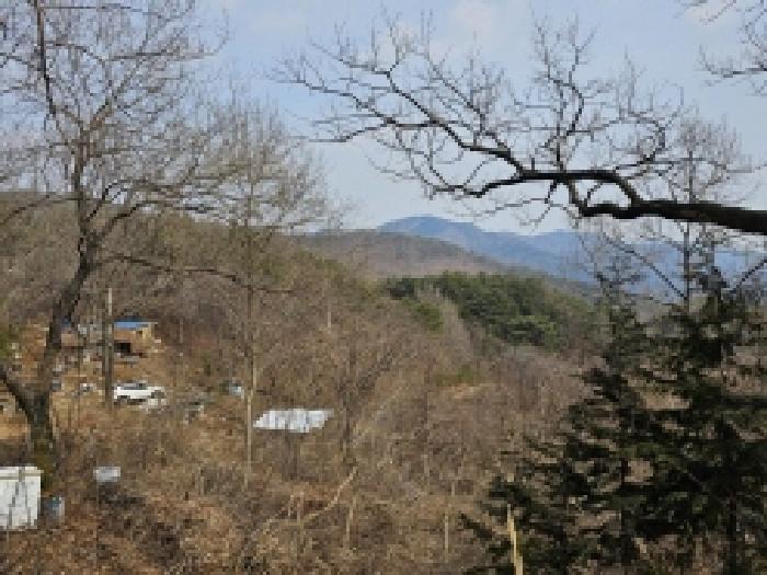 2025타경350 법원경매 사진28 | 전남 순천시 임야 경매