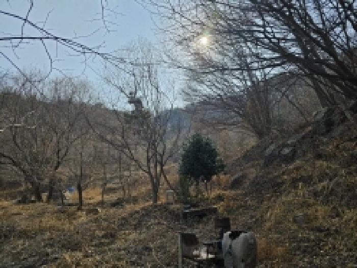 2025타경350 법원경매 사진33 | 전남 순천시 임야 경매