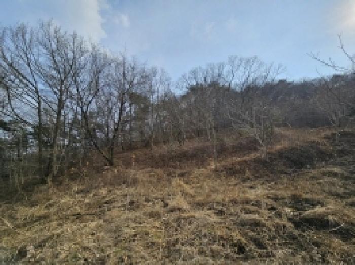 2025타경350 법원경매 사진34 | 전남 순천시 임야 경매