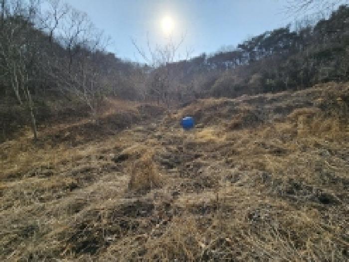 2025타경350 법원경매 사진35 | 전남 순천시 임야 경매