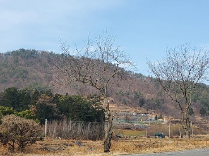 2025타경350 법원경매 사진36 | 전남 순천시 임야 경매