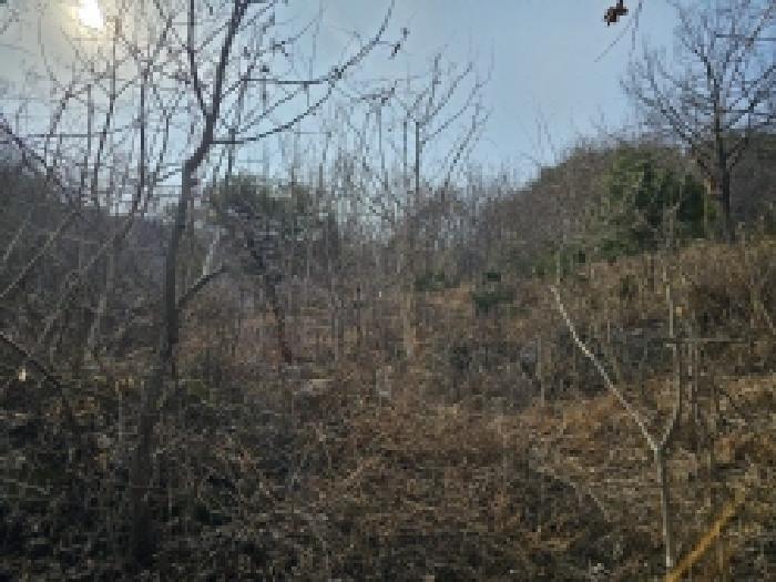2025타경350 법원경매 사진41 | 전남 순천시 임야 경매