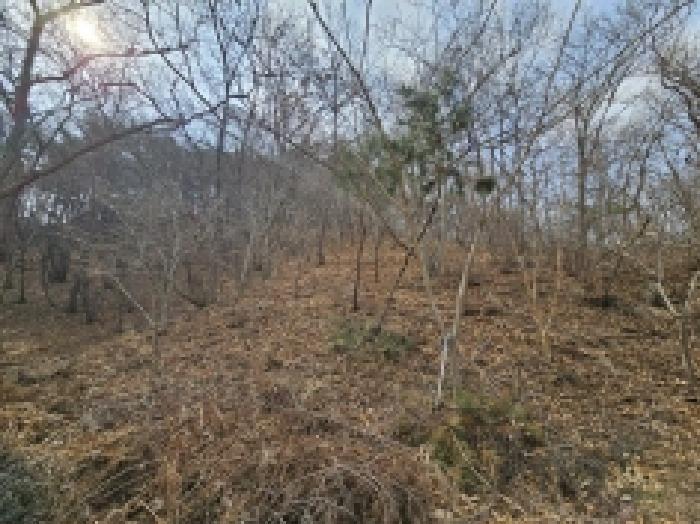 2025타경350 법원경매 사진52 | 전남 순천시 임야 경매