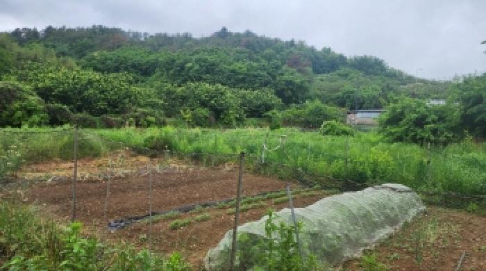 2025타경440 법원경매 사진9 | 전남 여수시 전답 경매
