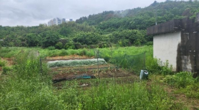 2025타경440 법원경매 사진7 | 전남 여수시 답 경매
