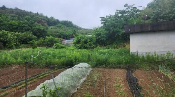 2025타경440 법원경매 사진8 | 전남 여수시 답 경매