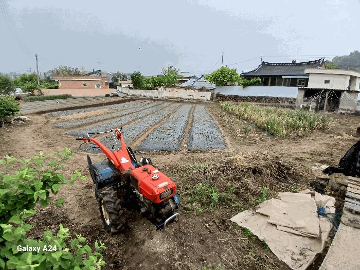 2025타경447 법원경매 사진3 | 전남 광양시 전 경매