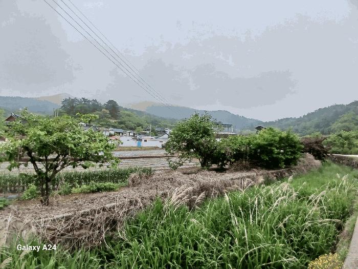 2025타경447 법원경매 사진4 | 전남 광양시 전 경매