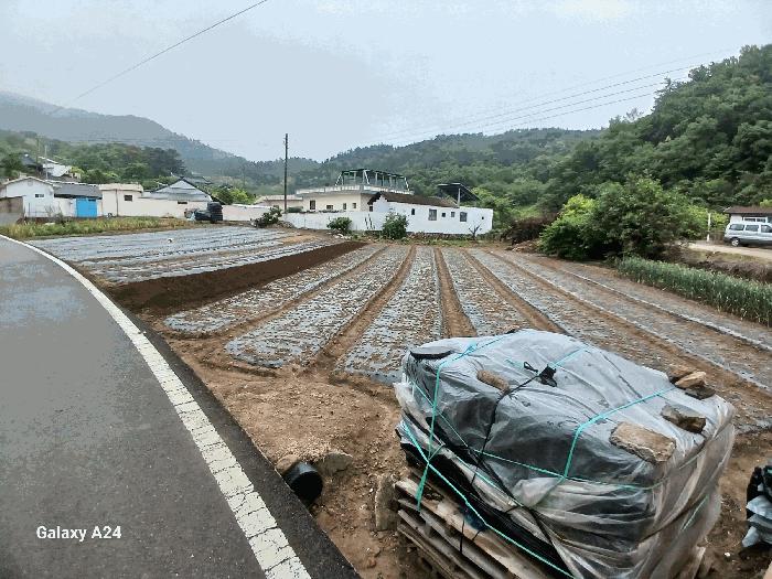 2025타경447 법원경매 사진7 | 전남 광양시 전 경매