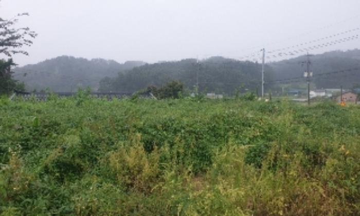 2023타경2653 법원경매 사진32 | 충북 음성군 임야 경매