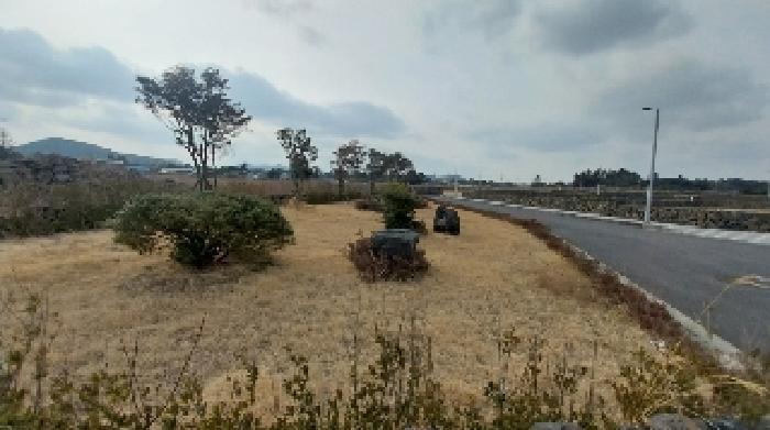 2025타경6525 법원경매 사진9 | 제주 제주시 기타토지 경매