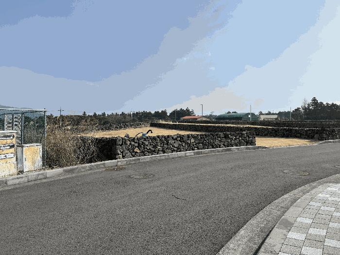 2025타경6556 법원경매 사진7 | 제주 제주시 대지 경매