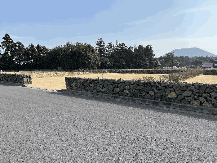 2025타경6556 법원경매 사진5 | 제주 제주시 대지 경매