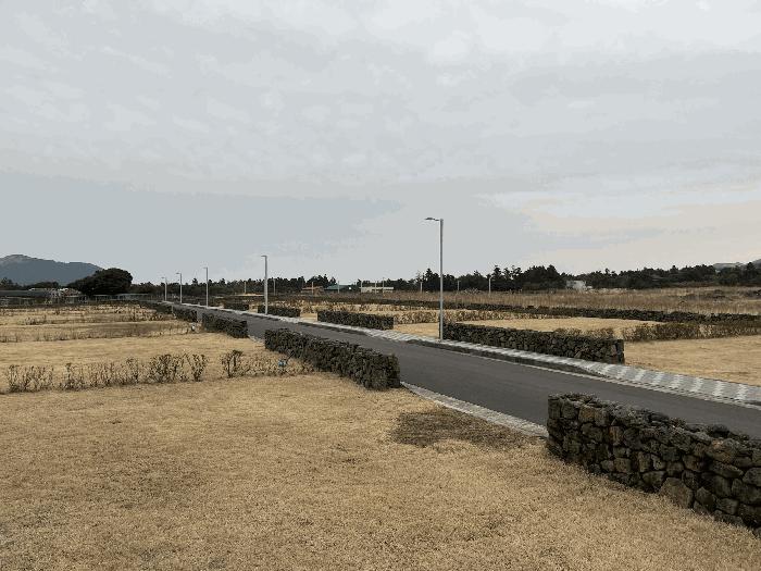 2025타경6617 법원경매 사진7 | 제주 제주시 대지 경매