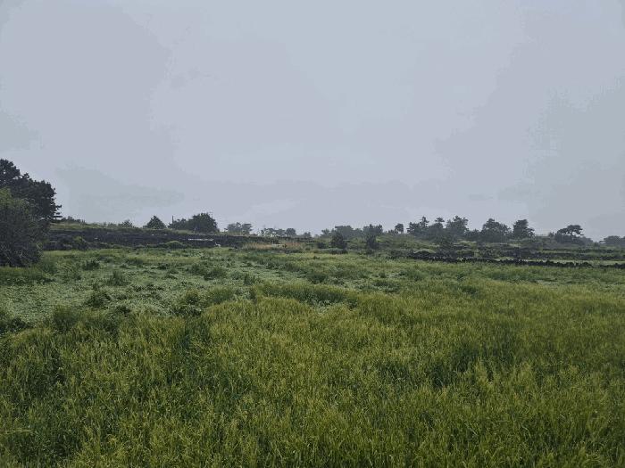 2025타경7836 법원경매 사진3 | 제주 제주시 임야 경매