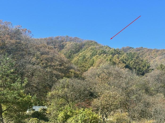 법원경매 2024타경84943 사진2 | 가평군 가평읍 산유리 임야 경매