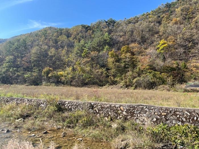 법원경매 2024타경32264 사진3 | 정선군 정선읍 여탄리 279 전 경매