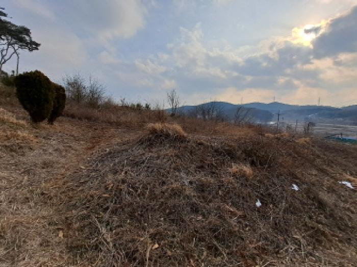 2025타경261 법원경매 사진3 | 충남 당진시 임야 경매