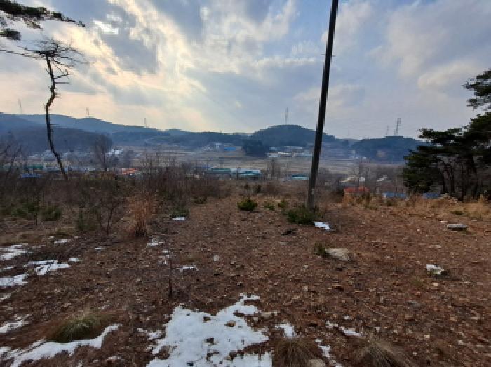 2025타경261 법원경매 사진7 | 충남 당진시 임야 경매