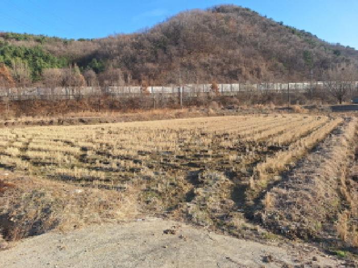 법원경매 2025타경51073 사진5 | 당진시 정미면 대운산리 424 답 경매