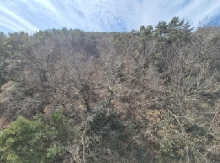 법원경매 2025타경205 사진3 | 부산 사하구 감천동 임야 경매