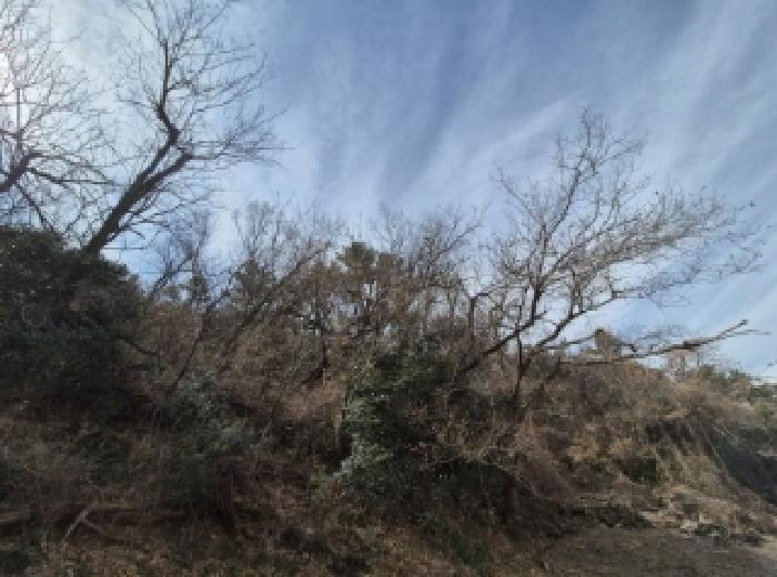 법원경매 2025타경205 사진4 | 부산 사하구 감천동 임야 경매