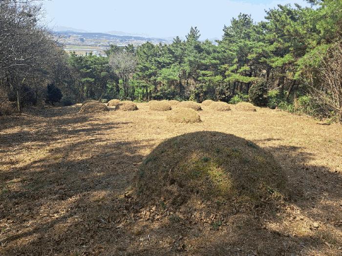 2025타경1595 법원경매 사진5 | 전남 영광군 상가,오피스텔,근린시설 경매