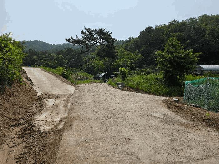 2025타경51259 법원경매 사진3 | 청주 서원구 임야 경매