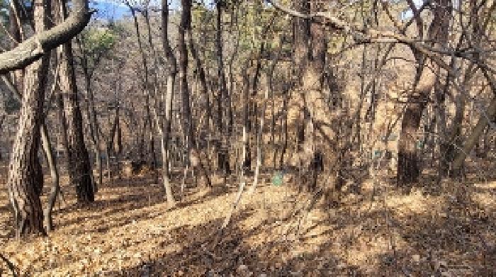 2024타경107647 법원경매 사진2 | 경남 함안군 전 경매
