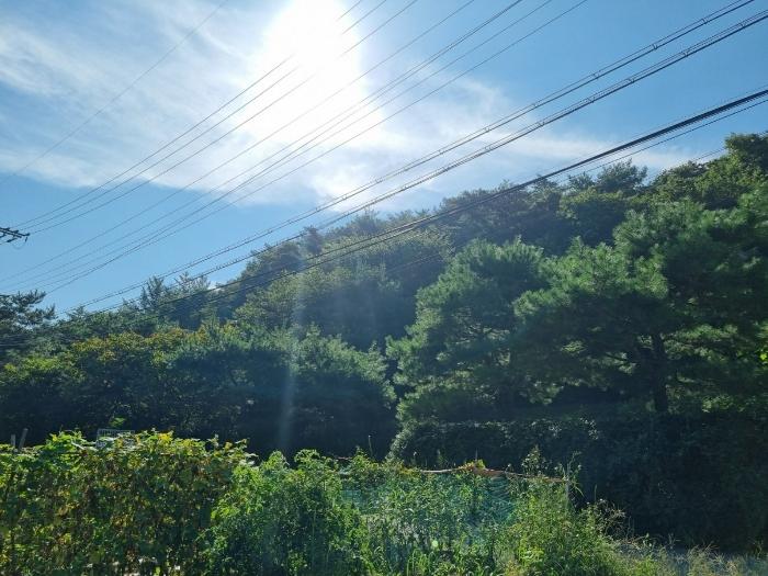 법원경매 2024타경63897 사진2 | 광주시 남한산성면 불당리 임야 경매