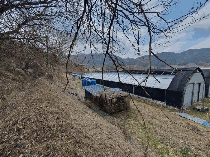 법원경매 2025타경50588 사진2 | 양구군 양구읍 공리 170-1 전 경매