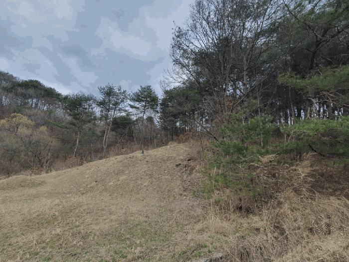 법원경매 2025타경50588 사진3 | 양구군 양구읍 공리 170-1 전 경매