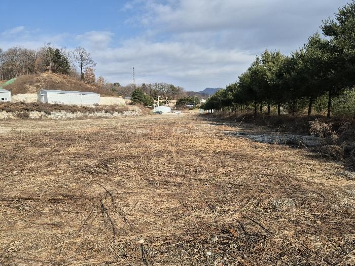 2024타경3608 법원경매 사진2 | 충북 충주시 기타 경매