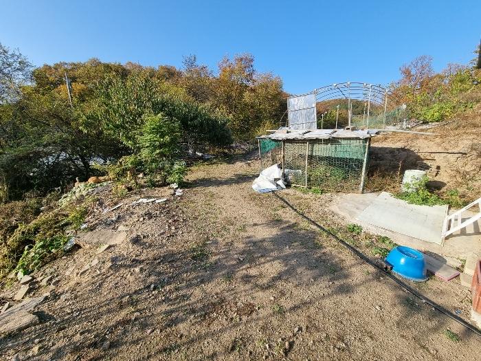 법원경매 2024타경103321 사진2 | 안동시 풍산읍 마애리 162 전 경매