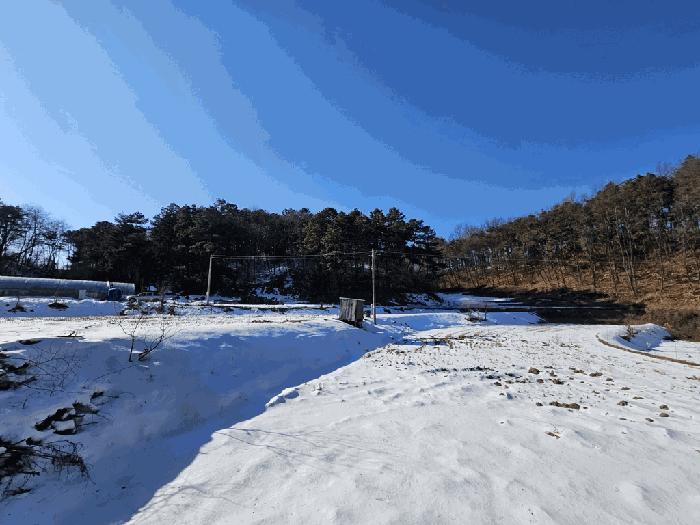 법원경매 2025타경36 사진4 | 제천시 강제동 임야 경매