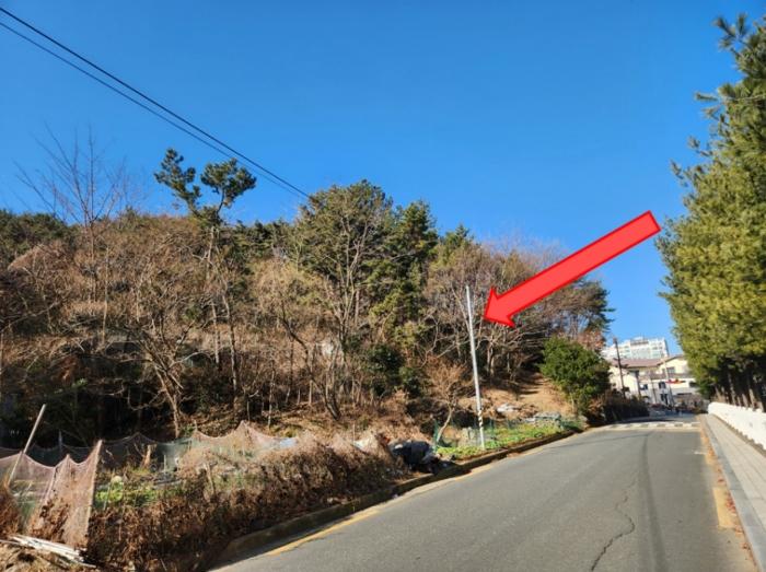 2024타경33162 법원경매 사진3 | 경남 거제시 임야 경매