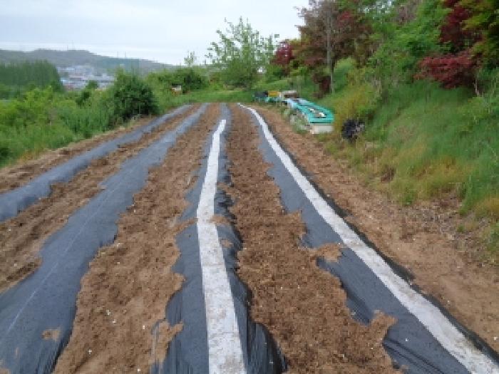 2025타경661 법원경매 사진12 | 전주 완산구 답 경매