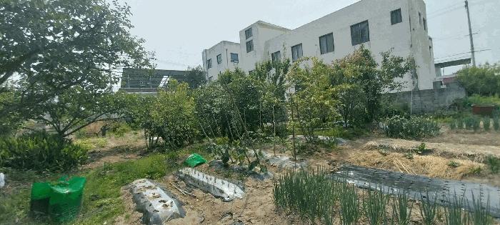 2025타경31250 법원경매 사진22 | 전북 김제시 주택건물 경매