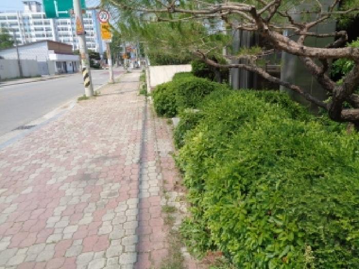 2025타경31250 법원경매 사진32 | 전북 김제시 주택건물 경매