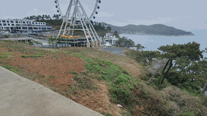 2025타경51333 법원경매 사진3 | 전남 여수시 임야 경매