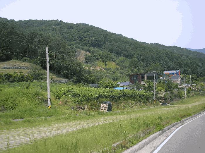 2025타경51537 법원경매 사진6 | 전남 순천시 답 경매