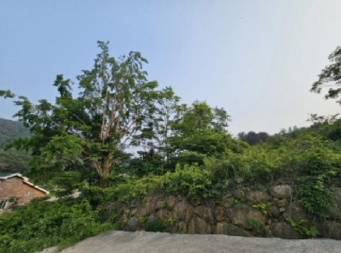 2025타경51537 법원경매 사진7 | 전남 순천시 답 경매