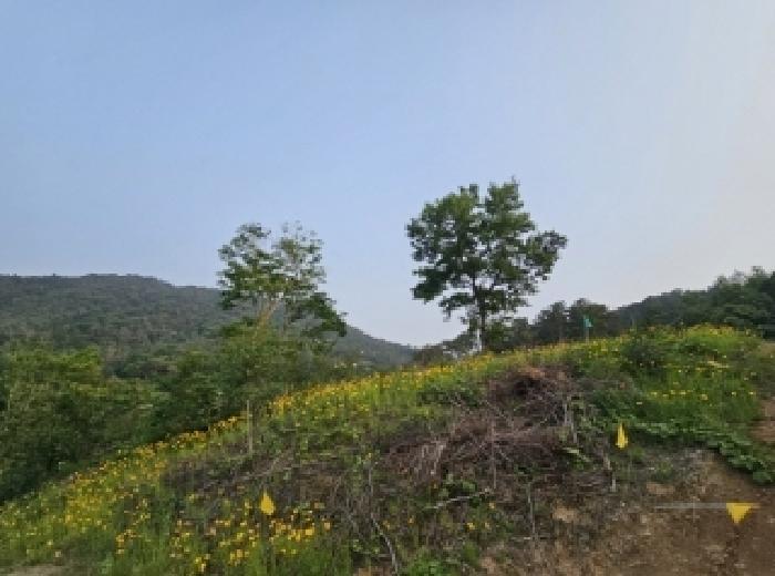 2025타경51537 법원경매 사진9 | 전남 순천시 답 경매