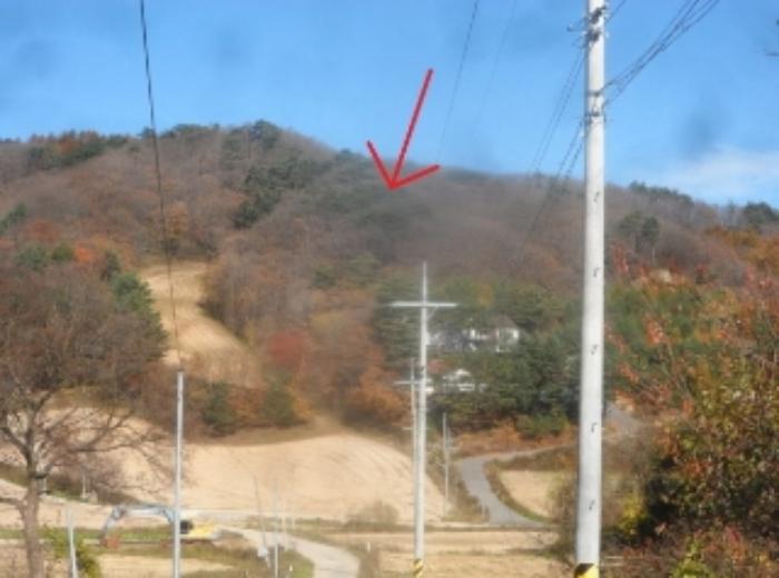 법원경매 2024타경1888 사진3 | 평창군 대관령면 차항리 491-14 임야 경매