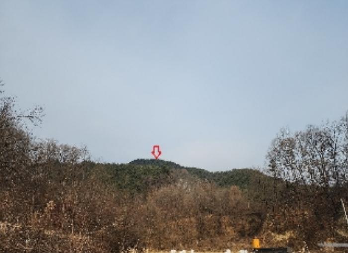 2024타경11650 법원경매 사진2 | 충북 옥천군 임야 경매
