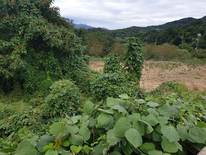 경상북도 영천시 청통면 죽정리 150 법원경매 물건 대표사진