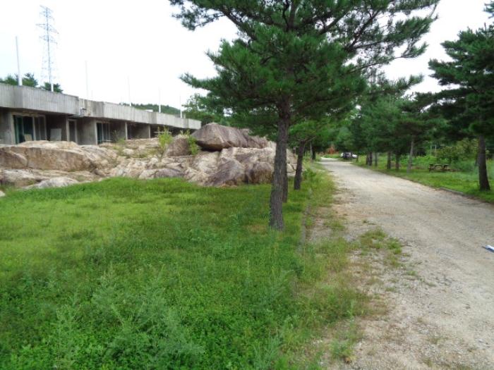 법원경매 2024타경1212 사진30 | 고성군 죽왕면 야촌리 1024-29 주택건물 경매