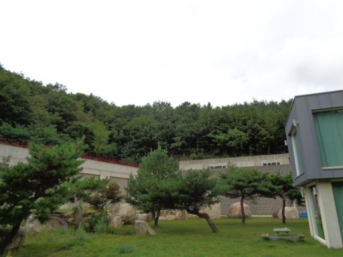 법원경매 2024타경1212 사진35 | 고성군 죽왕면 야촌리 1024-29 주택건물 경매