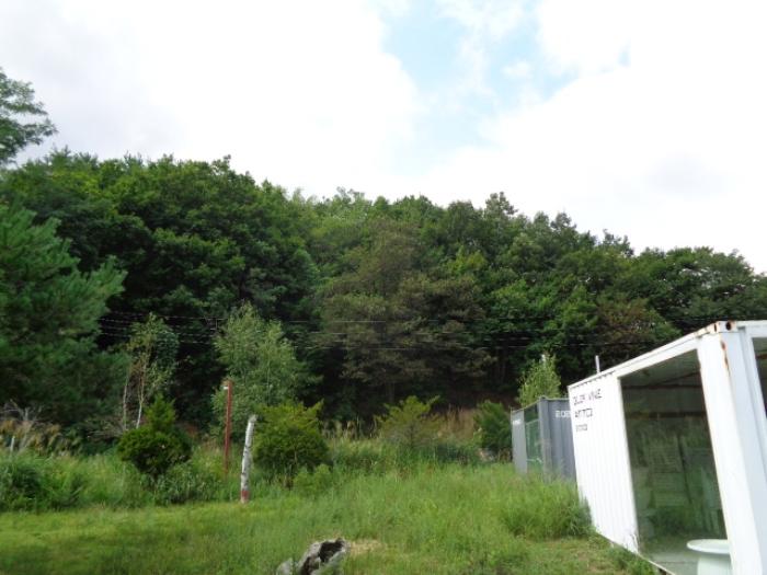 법원경매 2024타경1212 사진36 | 고성군 죽왕면 야촌리 1024-29 주택건물 경매